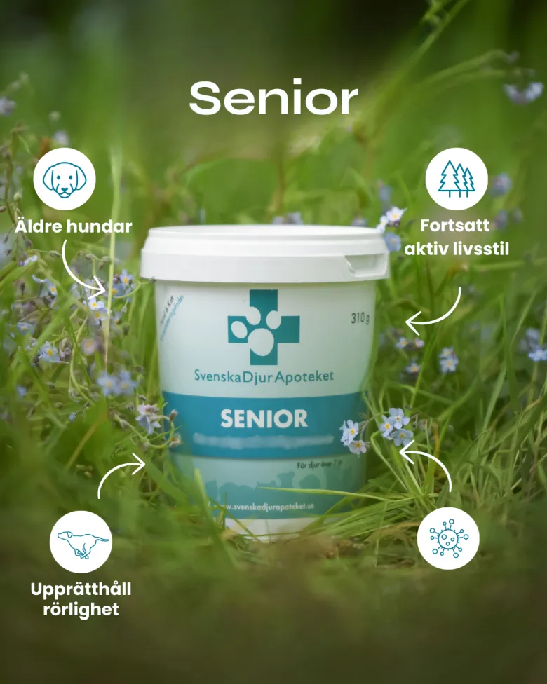 Senior | 310 g