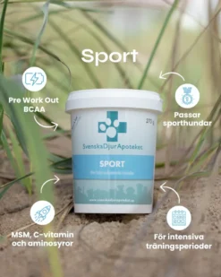 Sport