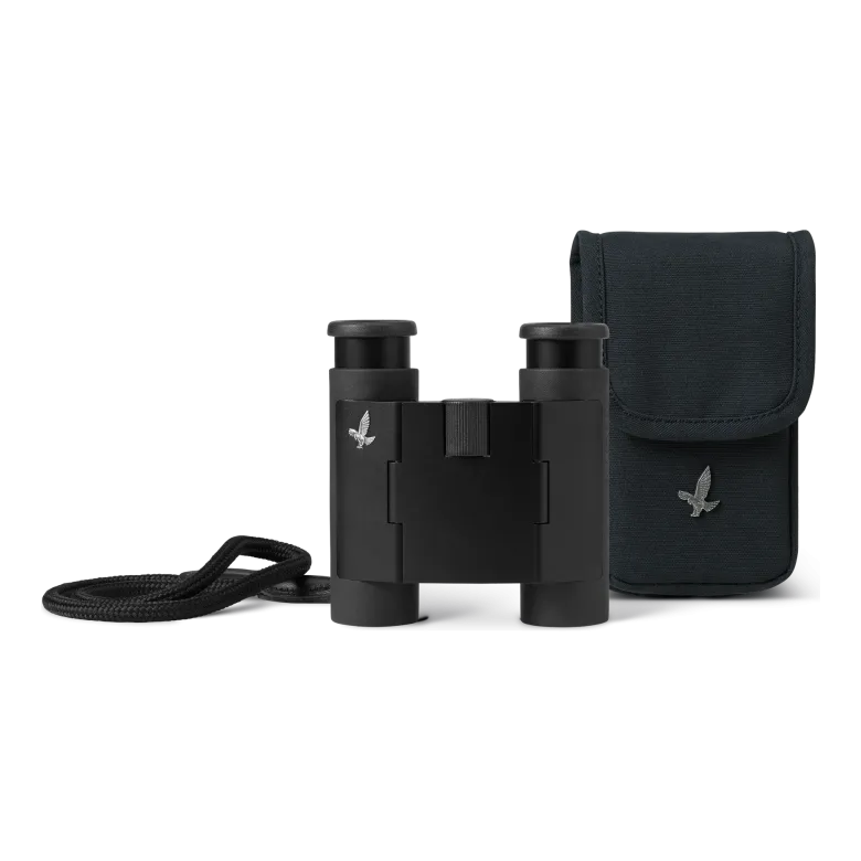 Swarovski CL Curio | Black