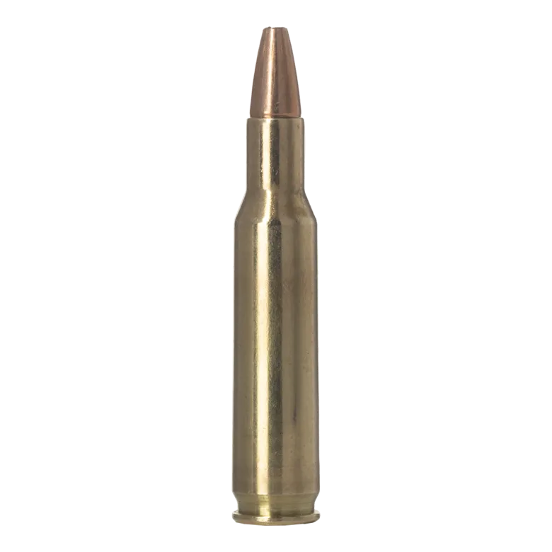 Vermin Xtreme | Ammunition
