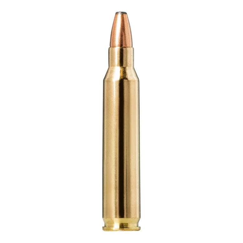 Whitetail | Ammunition