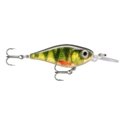 X-Light Shad